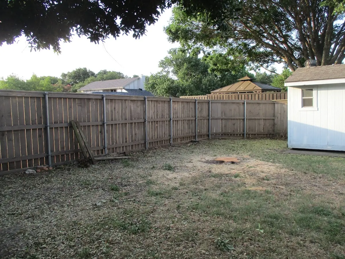 Cleared yard after professional tree removal in South Otselic