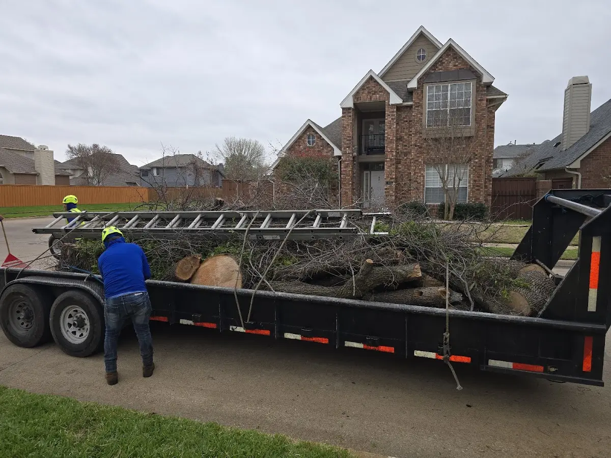 Expert Tree Fertilization with proper safety equipment in South Otselic
